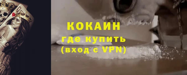 гидра Горняк
