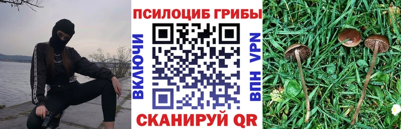 Псилоцибиновые грибы Psilocybine cubensis  Артёмовский 